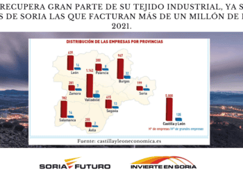 Empresas industriales en Soria, datos de facturación y distribución provincial.