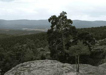 Paisaje de monte y rocas en Soria con vegetación y montañas al fondo, promoviendo inversión y turismo en la zona.