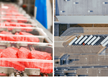 Carne envasada en línea, mercado de Soria, inversión en alimentos y producción cárnica en la provincia.