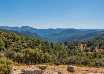 Paisaje de montañas y bosques en Soria, ideal para invertir en naturaleza y turismo rural.