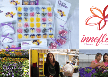 Flores comestibles de alta calidad para negocios y eventos en Soria.