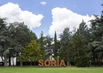 Invierte en Soria, entorno natural con árboles y cielo azul, promotora de inversión y turismo en la ciudad.