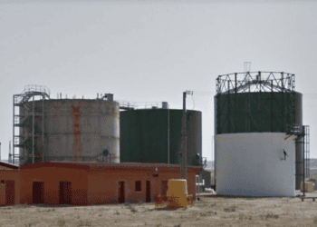 Girasol industrial en Soria, oportunidad de inversión en el sector energético.