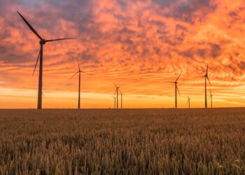 Energías renovables en Soria, parques eólicos al atardecer en un campo de cereales.