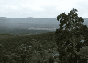 Paisaje natural de Soria con montañas y árboles en entorno rural idílico.