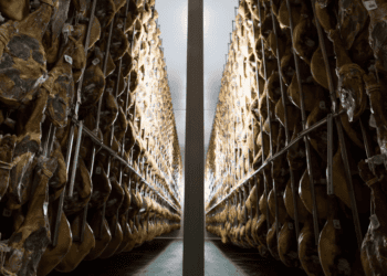FileName: invierte-en-soria-almacenamiento-jamon-iberico.jpg.