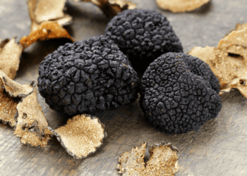 Setas de otoño frescas y trufa negra, productos de Soria para inversión agrícola.