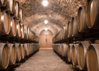 Barriles de vino en bodega subterránea en Soria, invierte en Soria, enoturismo y economía local.