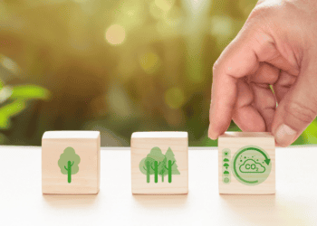 Árboles y sostenibilidad en Soria, inversión ecológica y protección del medio ambiente.