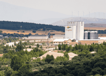 Copiso Registra Beneficios Históricos de Más de 12 Millones de Euros