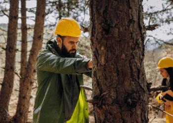 Presentación del proyecto LIFE Soria ForestAdapt en Bruselas: Avances en gestión forestal y cambio climático