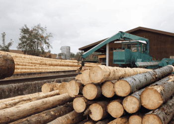 Nuevas inversiones para empresas del sector forestal en Soria y Burgos a través de ayudas LEADER 2023-2027