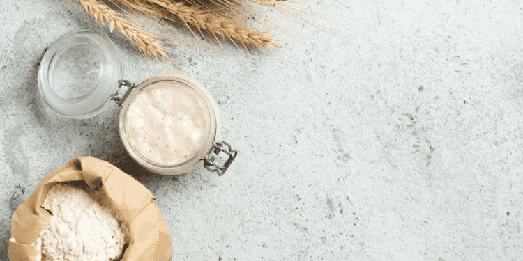 Pan de masa madre sin gluten en Ágreda, Soria, con innovación y experiencia en panadería saludable.