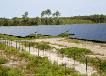 Inician los trabajos para la construcción de un parque fotovoltaico en Almazán y Viana