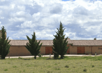 Dominio de Atauta La Roza: El primer 100 puntos de Ribera del Duero para un vino de viñas centenarias en Soria