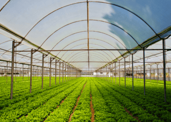 Soria incrementa su superficie de agricultura ecológica un 14,8%