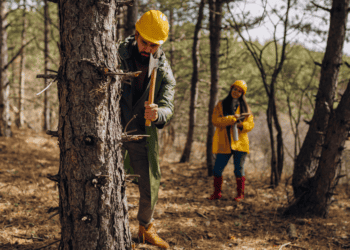 Soria lidera el debate sobre gestión forestal en el foro Bosques frente al cambio climático