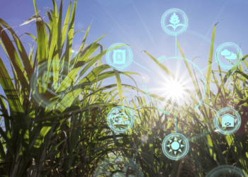 Agerpix ha desarrollado Aicrop, La solución de ia que revoluciona la gestión agrícola