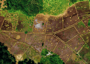 Cesefor lidera un proyecto europeo para la gestión sostenible de pequeñas propiedades forestales