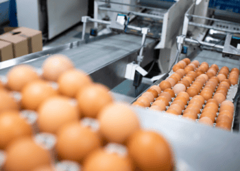 La agroalimentación soriana se posiciona en el mercado europeo desde la Feria de Lyon