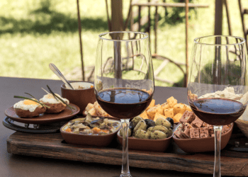 Degustación de vinos y tapas tradicionales en Casa Palacio Reina de Tardajos, fusionando gastronomía.