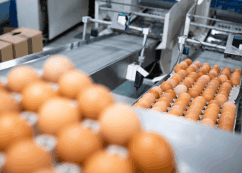 La industria agroalimentaria de Castilla y León gana empleo y facturación