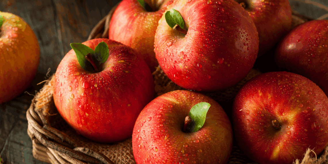 Manzanas frescas de Soria con gotas de agua, agricultura local y consumo saludable.