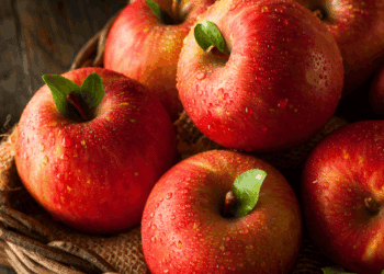 Altos de Yara: la manzana soriana que conquista los mercados gourmet del mundo