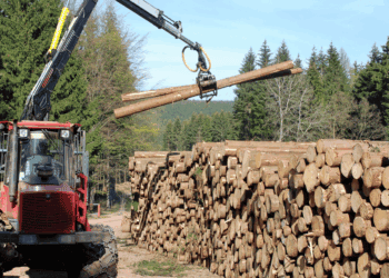 Soria ingresa 11,6 millones de euros gracias a su aprovechamiento forestal