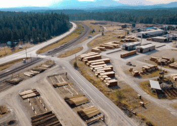 Nemus, la herramienta que transforma el sector de la madera