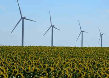 Gobierno impulsa proyectos de energía renovable en Soria