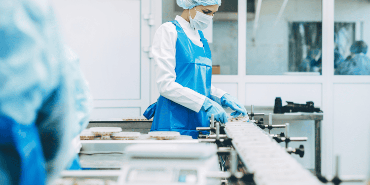 Embutidos La Hoguera en Soria, innovación y calidad en producción de embutidos.