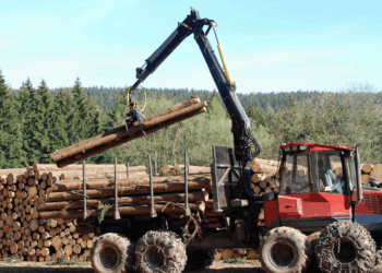 El modelo de aprovechamiento sostenible en Soria frena los incendios