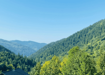 Nuevo resort en Soria con 14 cabañas en el bosque junto al embalse