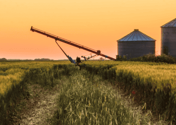 Copiso Soria implanta sensores en silos para optimizar la producción porcina