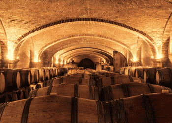 Bodega subterránea en Soria con barriles de vino para inversión y turismo.