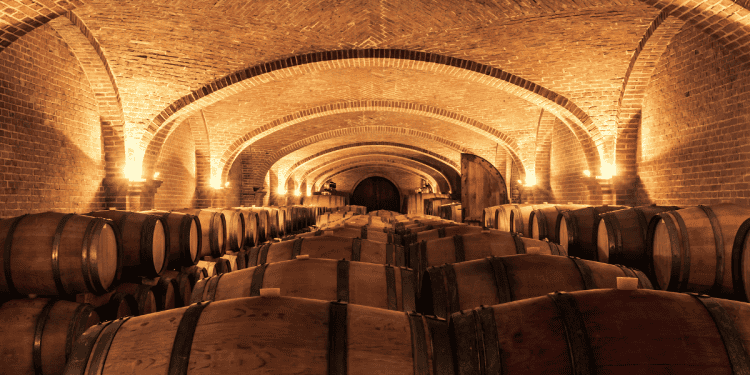 Bodega subterránea en Soria con barriles de vino para inversión y turismo.
