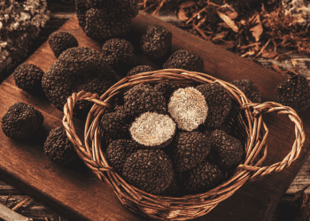 Setas de Soria, producto local y de calidad para invierteensoria.es.