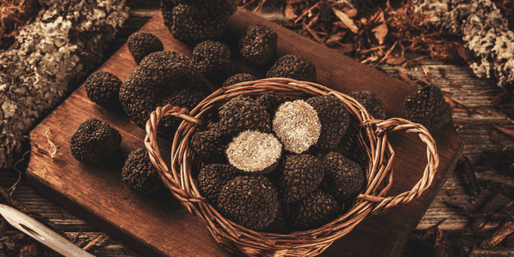 Setas de Soria, producto local y de calidad para invierteensoria.es.