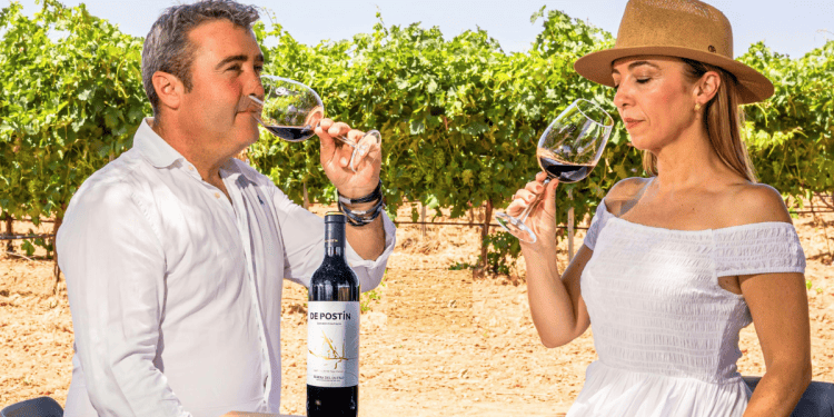 Disfruta del vino en un viñedo de Soria, conocido por su vino de calidad y paisajes impresionantes.