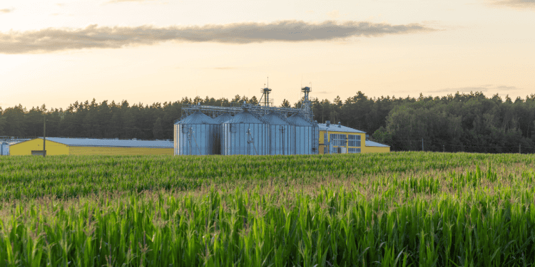 Instalaciones agrícolas y de bioeconomía en Soria, en un entorno rural.