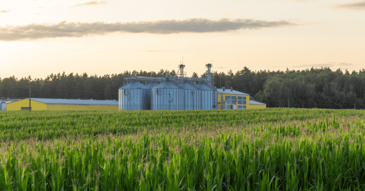 Instalaciones agrícolas y de bioeconomía en Soria, en un entorno rural.