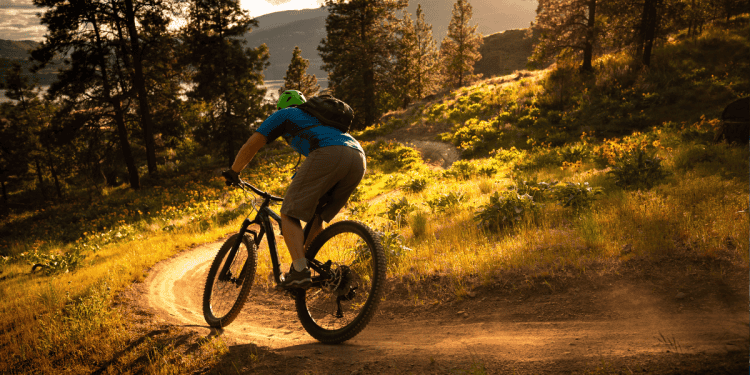 Paseo en bicicleta en un entorno natural de Soria con árboles y senderos.