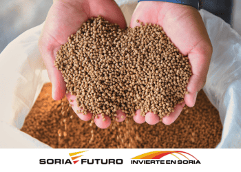 Manos sosteniendo semillas de cereales en Soria, en un entorno agrícola.