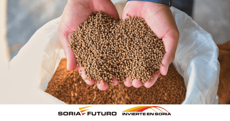 Manos sosteniendo semillas de cereales en Soria, en un entorno agrícola.