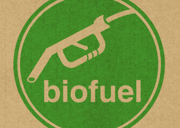 Logotipo de biofuel con pistola de gasolina en fondo de papel kraft verde y beige.