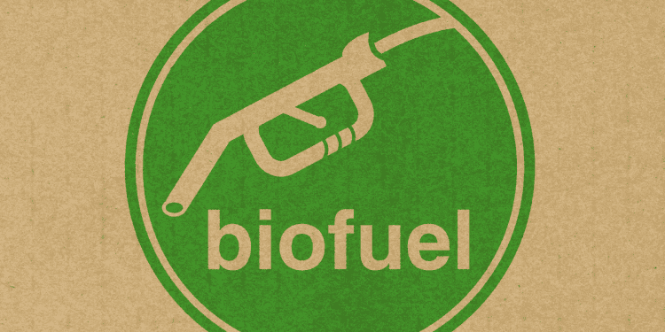 Logotipo de biofuel con pistola de gasolina en fondo de papel kraft verde y beige.