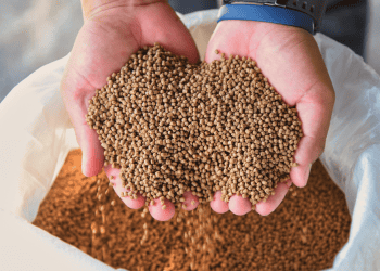 Semillas de alta calidad en Soria, ideales para agricultura y cultivo sostenible.