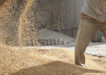 Inversión en Soria para el crecimiento económico local, promoviendo oportunidades de negocio y desar.