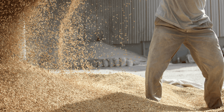 Inversión en Soria para el crecimiento económico local, promoviendo oportunidades de negocio y desar.